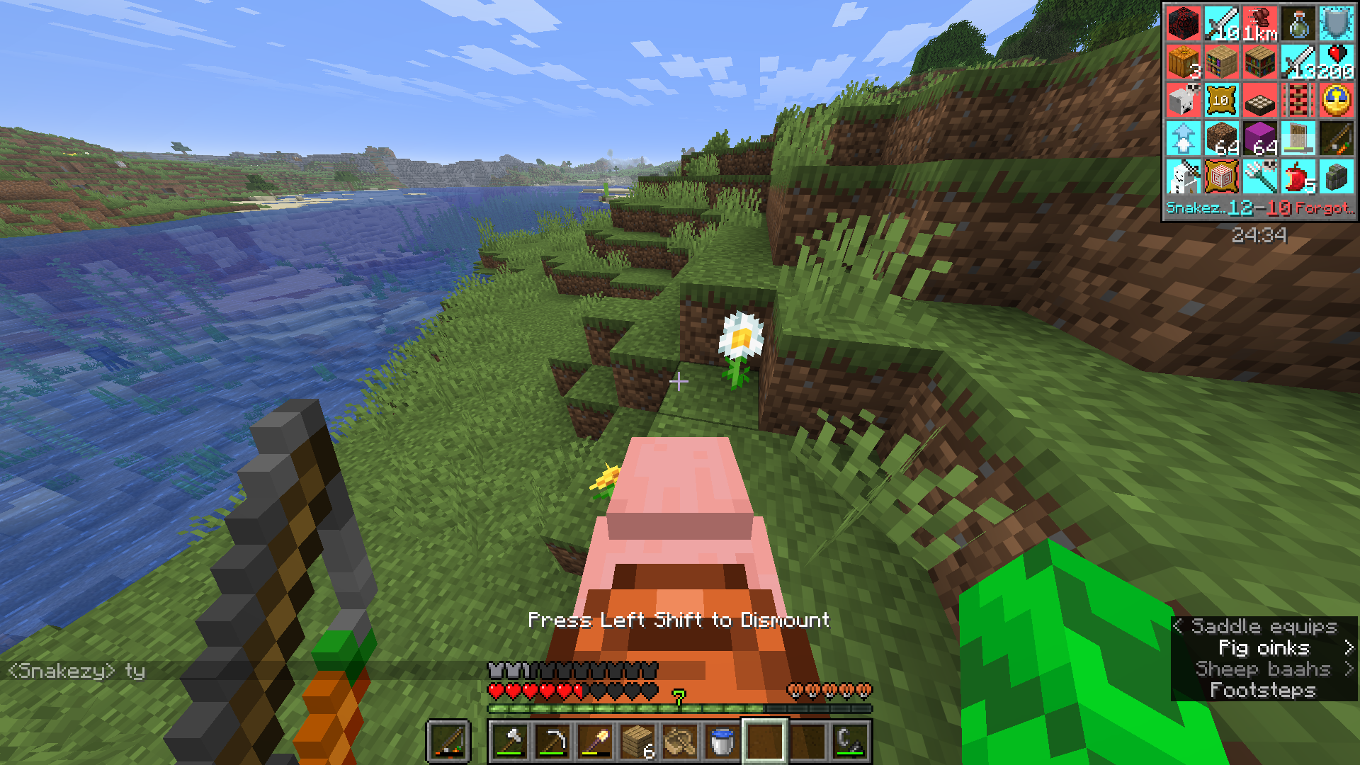 Minecraft_Screenshot_2026.05.25_-_11.46.58.08.png