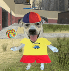 silly-propeller-hat.gif