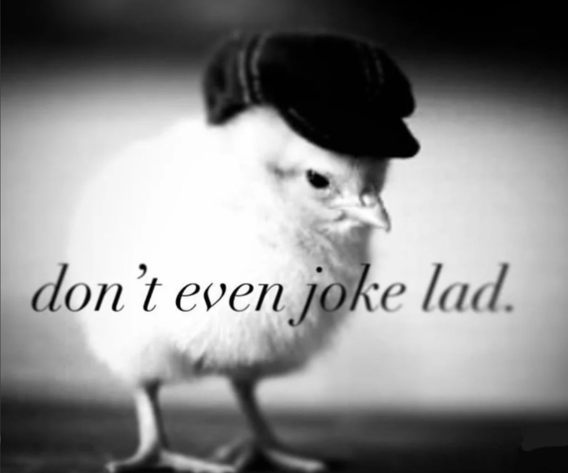 IMG_1940.png